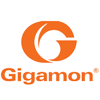 Gigamon Gigamon